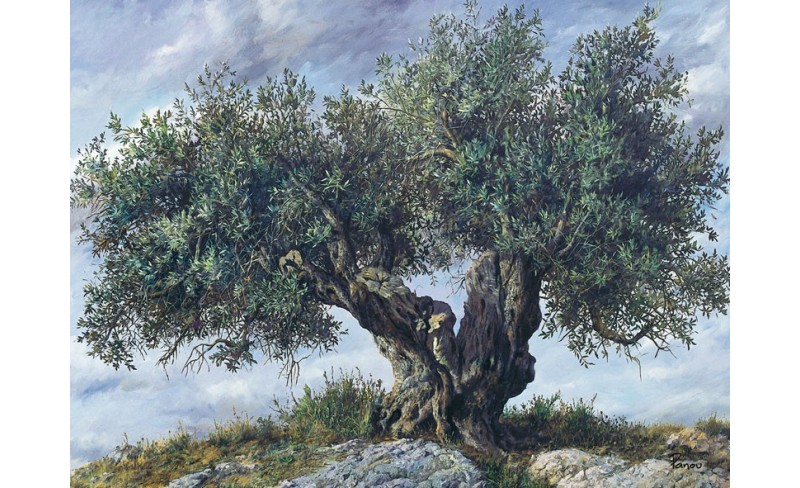 ΠΙΝΑΚΑΣ ΖΩΓΡΑΦΙΚΗΣ  ΜΕ ΘΕΜΑ ΕΛΙΑ